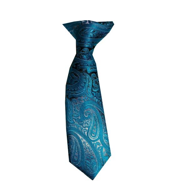 baby turquoise paisley