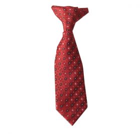 Baby Clip On Cherry Apple Red with White Squares